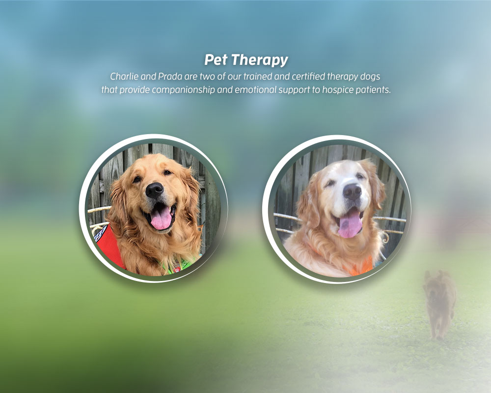 Dogs Therapy Banner